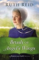 Brush of Angel's Wings (Paperback)