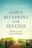 God's Blueprint For Success (Paperback)