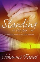 Standing In The Gap (Paperback)