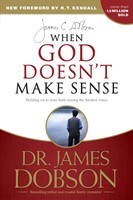 When God Doesn't Make Sense (Paperback)