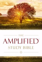 Amplified Study Bible (Hard Cover)