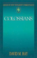 Abingdon New Testament Commentaries: Colossians (Paperback)