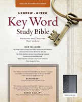 The ESV Hebrew-Greek Key Word Study Bible Black (Imitation Leather)