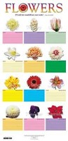 Flower Chart in Tube (Miscellaneous Print)