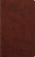 ESV Large Print Personal Size Bible, Trutone, Chestnut (Imitation Leather)