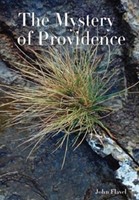 The Mystery of Providence (Hard Cover)