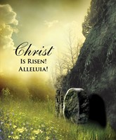 Christ Sunrise Easter Bulletin, Large (Pkg of 50) (Loose-leaf)