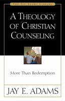 A Theology Of Christian Counseling (Paperback)