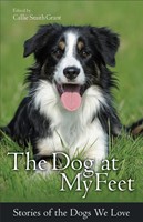 The Dog At My Feet (Paperback)