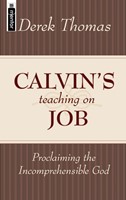 Calvin's Teaching On Job (Paperback)