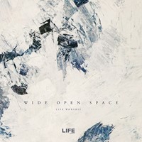 Wide Open Space (Live) (CD-Audio)