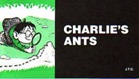 Tracts: Charlie's Ants (Pack of 25)