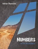 Numbers: In The Wilderness