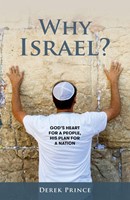Why Israel? (Paperback)
