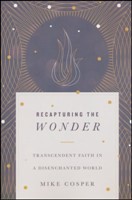 Recapturing The Wonder (Paperback)