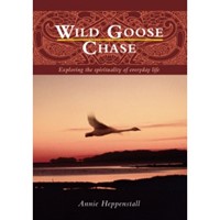 Wild Goose Chase (Paperback)