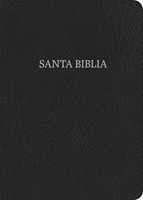 NVI Biblia Letra Grande Tamaño Manual, negro piel fabricada (Bonded Leather)
