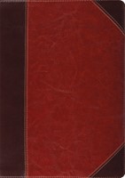 ESV Study Bible Trutone, Brown/Cordovan, Portfolio Design (Imitation Leather)