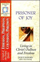 Prisoner Of Joy (Paperback)