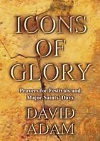 Icons of Glory (Paperback)