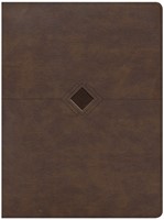 CSB Day-by-Day Chronological Bible, Brown Leathertouch
