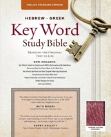 The ESV Hebrew-Greek Key Word Study Bible (Leather Binding)