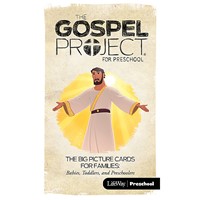 Gospel Project: Preschool Picture Cards, Summer 2018 (Cards)