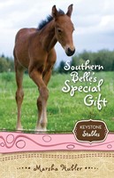 Southern Belle'S Special Gift (Paperback)