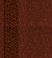 KJV Expressions Bible, Brown (Hard Cover)