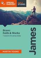 Brave: Faith And Works Workbook
