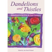 Dandelions And Thistles