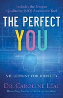 Perfect You (Hard Cover)