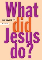 What Did Jesus Do? (Paperback)