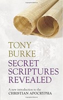 Secret Scriptures Revealed (Paperback)