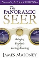 The Panoramic Seer (Paperback)