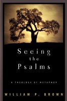 Seeing the Psalms (Paperback)