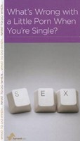 What's Wrong With A Little Porn When You're Single? (Paperback)