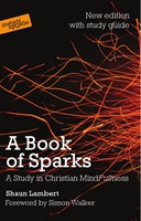 Book Of Sparks, A (Paperback)