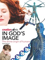 In God's Image (Paperback)