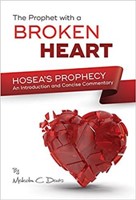 The Prophet With A Broken Heart (Paperback)