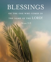 Blessings Palm Sunday Bulletin, Large (Pkg of 50) (Bulletin)