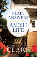 Plain Answers About The Amish Life (Paperback)