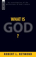What Is God? (Paperback)