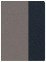 CSB Apologetics Study Bible For Students, Gray/Navy (Imitation Leather)