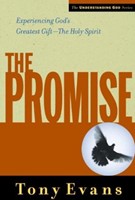 The Promise (Paperback)