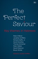 The Perfect Saviour (Paperback)