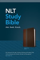 NLT Study Bible, Tutone Brown/Slate (Imitation Leather)