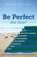 Be Perfect - But How? (Paperback)