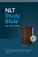 NLT Study Bible, Brown Slate, Indexed (Imitation Leather)