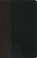 NIV Study Bible Chocolate/Caramel Duo-Tone Personal Size (Hard Cover)